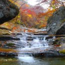 제381회차 지리산 피아골 단풍산행 공지 이미지