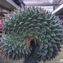 삼성제관(주) 이미지