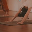 요가&필라테스Ⅰ 이미지