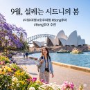 봉하우스(Bong House) | 9월 시드니 자유여행, Bong투어와!