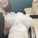 은성매점 이미지