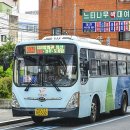 부여(외산)-11 이미지