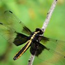 녹유정교육농장 이미지