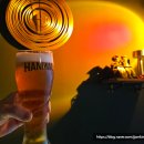 세븐일레븐 수원율전본점 | 주꼬로 율전동본점 수원 율전동에서 안주가 제일 맛있는 술집