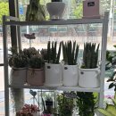 춘천꽃집 “봄내화원” 꽃다발 예약후기