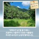 칠갑산장곡마을