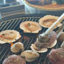 오이도조개92 이미지