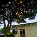 난산리-10 | <난산리식당> 분위기 좋은 곳에서 즐기는 파인다이닝