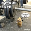 '운동 좋아 인간'은 어떤 운동을 하는가 (여자 취미 운동 추천 후기)