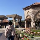 기흥호수공원 이미지