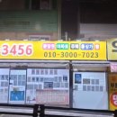 보르미네 이미지