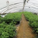 션샤인 하우스 이미지