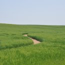 하원농장 이미지