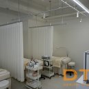 셀리올리 스킨랩 티스토리