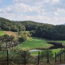 Rainbow Hills 이미지