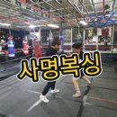 한양 복싱 체육관 이미지