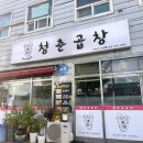 곱창의청춘 이미지