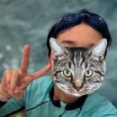 수영장 독채 폭포리아 풀빌라 | 여수풀빌라 독채 후기 (따끈한 온수풀 수영장, 11개월 조카와 함께 여수여행💛)