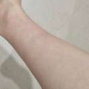 스타킹 | EZRAP 임신 압박스타킹 후기