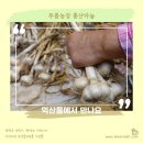 홍산농장 이미지