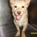 아람동물병원 이미지