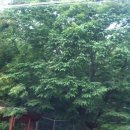 수출대로-18 이미지