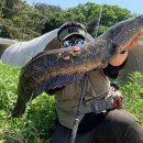 종점낚시 이미지