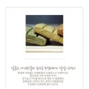 허니도그 이미지