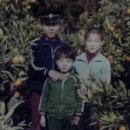 김종민 이미지