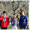 수민농장 이미지