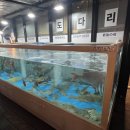 친구횟집 | 거제도 현지인 맛집 옥포 횟집 ‘마지막밤’ 외국인 친구와 방문 후기