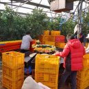 정인농장 이미지