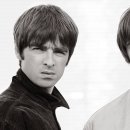 오아시스(OASIS) 이미지