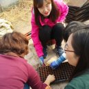 최부자농장 이미지