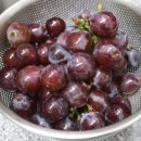 당골농원 이미지