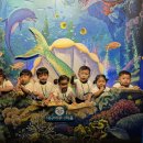 바다반 아쿠아리움🌊🐧🐠🐟(1) 이미지