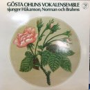 종운전자 이미지