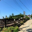 몽산포추억펜션 | 태안 몽산포항 오션뷰숙소 애견동반숙소 몽산포추억펜션