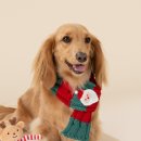 이모네 강아지 | 예쁜 강아지패션 크리스마스룩 쁘띠목도리 모던하우스 펫본 사이즈 후기