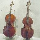 첼로 이미지
