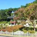 한다카센타 이미지