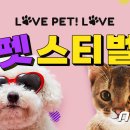 77양행