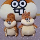 은비네 | 똘망똘망다람이 인형옷 주문제작 후기 (feat. 은비네인형옷)