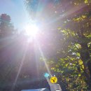 에뜨유명산캠핑장 이미지