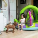 손대하 동물병원 | 울산 동구 동물병원 후기*^^* (손대하동물병원)