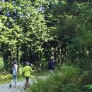 다온자연요양병원 이미지