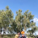 양화목장 이미지
