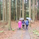 자동차가좋은사람들 이미지