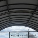 가파리마을회 | 제주 2025 가파도 ‘청보리축제’ 일정, 배시간, 예약, 가격, 즐길거리 총정리
