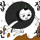 세흥병원 네이버블로그